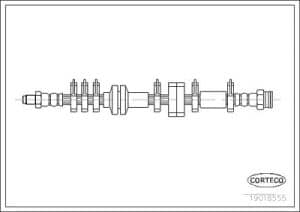 Corteco Bremsschlauch ERSTAUSRÜSTERQUALITÄT [Hersteller-Nr. 19018555] für Fiat
