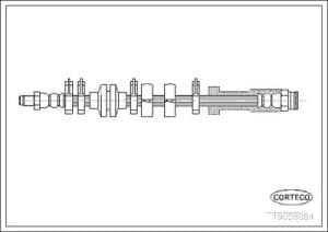 Corteco Bremsschlauch ERSTAUSRÜSTERQUALITÄT [Hersteller-Nr. 19026084] für Fiat
