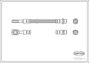 Corteco Bremsschlauch ERSTAUSRÜSTERQUALITÄT [Hersteller-Nr. 19026813] für Opel