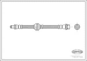 Corteco Bremsschlauch ERSTAUSRÜSTERQUALITÄT [Hersteller-Nr. 19031168] für Ford