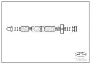 Corteco Bremsschlauch ERSTAUSRÜSTERQUALITÄT [Hersteller-Nr. 19031630] für Lancia