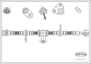 Corteco Bremsschlauch ERSTAUSRÜSTERQUALITÄT [Hersteller-Nr. 19032125] für Honda