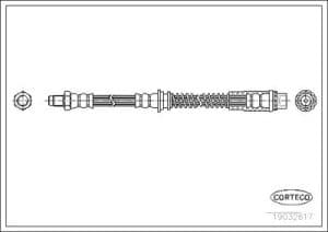 Corteco Bremsschlauch ERSTAUSRÜSTERQUALITÄT [Hersteller-Nr. 19032617] für Mg