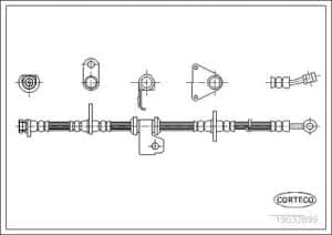 Corteco Bremsschlauch ERSTAUSRÜSTERQUALITÄT [Hersteller-Nr. 19032899] für Honda