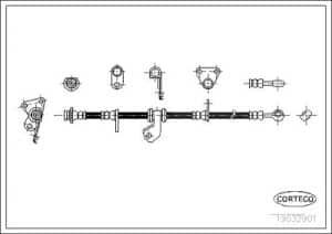 Corteco Bremsschlauch ERSTAUSRÜSTERQUALITÄT [Hersteller-Nr. 19032901] für Honda
