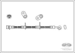 Corteco Bremsschlauch ERSTAUSRÜSTERQUALITÄT [Hersteller-Nr. 19032987] für Honda