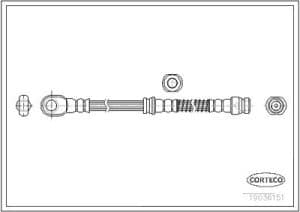 Corteco Bremsschlauch ERSTAUSRÜSTERQUALITÄT [Hersteller-Nr. 19036151]