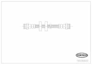 Corteco Bremsschlauch ERSTAUSRÜSTERQUALITÄT [Hersteller-Nr. 19036600] für Citroën