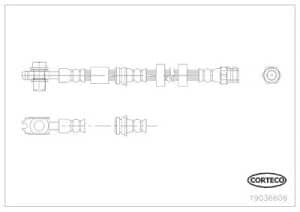 Corteco Bremsschlauch ERSTAUSRÜSTERQUALITÄT [Hersteller-Nr. 19036606] für Seat