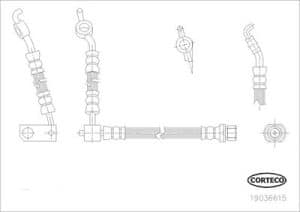 Corteco Bremsschlauch ERSTAUSRÜSTERQUALITÄT [Hersteller-Nr. 19036615] für Toyota