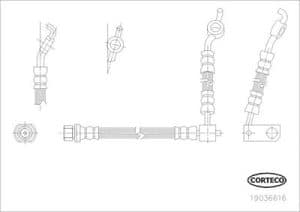 Corteco Bremsschlauch ERSTAUSRÜSTERQUALITÄT [Hersteller-Nr. 19036616] für Toyota