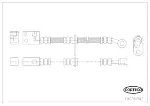 Corteco Bremsschlauch ERSTAUSRÜSTERQUALITÄT [Hersteller-Nr. 19036842] für Honda