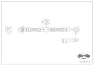 Corteco Bremsschlauch ERSTAUSRÜSTERQUALITÄT [Hersteller-Nr. 19036848] für Nissan
