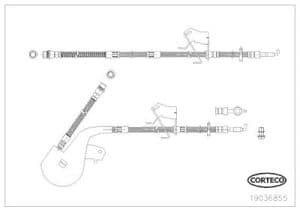 Corteco Bremsschlauch ERSTAUSRÜSTERQUALITÄT [Hersteller-Nr. 19036855] für Citroën