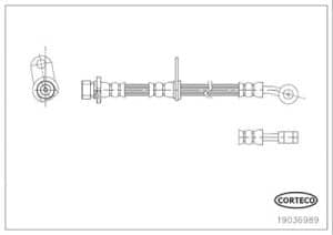 Corteco Bremsschlauch ERSTAUSRÜSTERQUALITÄT [Hersteller-Nr. 19036989]