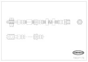 Corteco Bremsschlauch ERSTAUSRÜSTERQUALITÄT [Hersteller-Nr. 19037179] für Audi