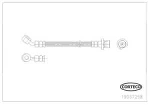 Corteco Bremsschlauch ERSTAUSRÜSTERQUALITÄT [Hersteller-Nr. 19037258] für Honda